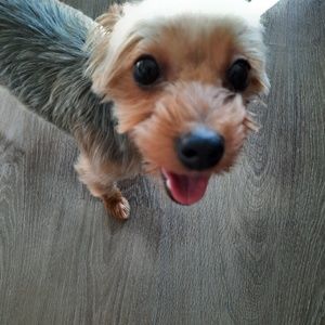 Meet your Posher, Mina